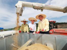 예천군 추석 햅쌀용 “해담쌀” 첫 수확 기쁨 기사 이미지