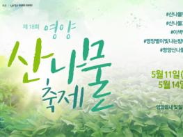 제18회 '영양산나물축제' 열렸어요, 올해도 같이 어울려요~ 기사 이미지