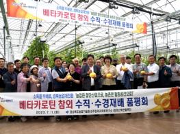 경북도, 베타카로틴 참외 수직 수경재배 기술 개발 기사 이미지