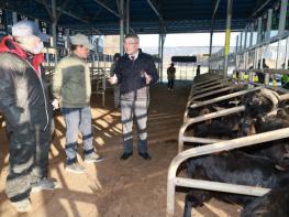 예천군, 2026년 첫 염소 경매 실시 기사 이미지