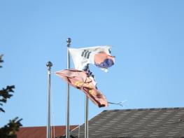 "안동시장님, 안동시 경로당 깃발 어떻게 관리 되고 있나 한 번 보시죠!!"  기사 이미지