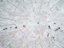 하얀 눈 속 자작나무숲,, 영양의 기적이 되다 기사 이미지