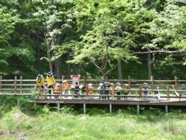 산소카페 청송군, 2026 산림정책 발표 기사 이미지