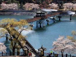 올해 봄은 ‘가장 한국적인 도시’ 안동에서! ,, 안동 봄꽃 여행, 제대로 즐겨보자! 기사 이미지