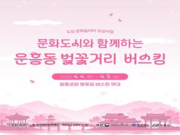 안동시, 도민체전과 함께하는 벚꽃 버스킹 운영 기사 이미지