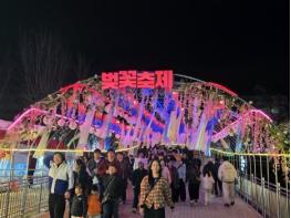 벚꽃 따라 걷고 머무는 봄,, 안동 벚꽃축제 성황 속 개막 기사 이미지