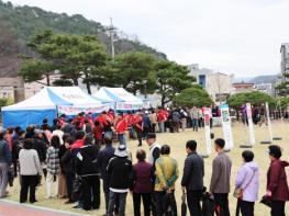 영양군, 제81회 식목일 기념,‘나무나누어주기 행사’개최 기사 이미지