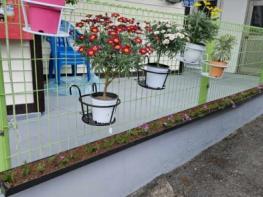 상주시 낙동2리 김성기 이장,,  첫 월급으로  경로당 꽃단장 귀감 기사 이미지