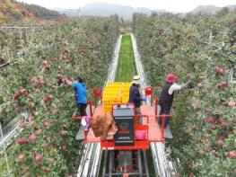 청송군, 농민수당 조기 지급으로 농가경영 부담 덜어준다 기사 이미지