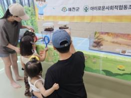 예천군 영유아 창의문화센터, ‘8월 여름특강 원데이클래스’ 성료 기사 이미지